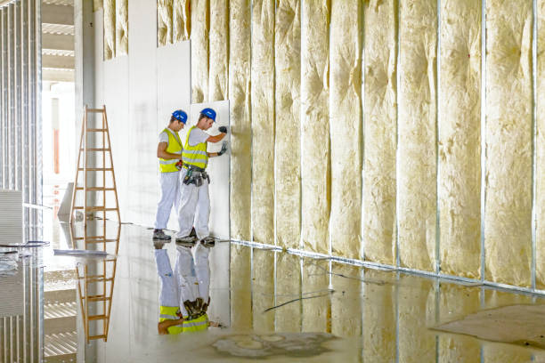 Best Insulation Installation Services in Mans, CO